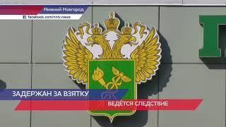 Начальник отдела поликлиник ФТС России задержан в Нижнем Новгороде