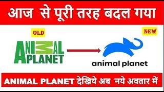 Animal Planet channel in new avtar by information collection