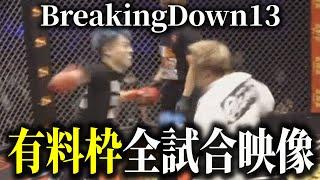 BreakingDown13全試合映像公開【ブレイキングダウン13】【朝倉未来】