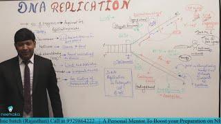 NEET Crack Course | Biology - DNA REPLICATION | Cellsius Institute