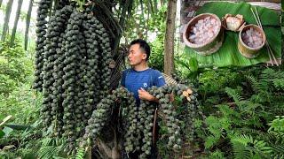 Dishes from wild coconut fruit, bushcraft shelter building, msyang survival, mah survival