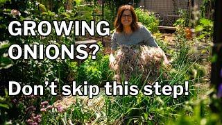 HARVESTING & CURING ONIONS: When, Where & How for I'itoi and Bulbing Onions