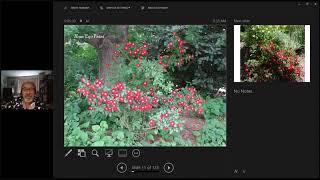 American Rose Society's SymROSEium