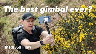 Insta360 Flow - How to Create Cinematic Gimbal Moves (ft. LearnOnlineVideo)