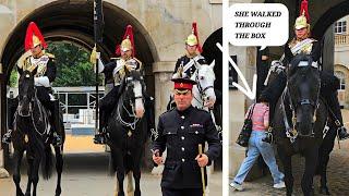 NO ONE EXPECTED THIS: Tourist Walks Through the Horse Box; Armed Police Want to Speak to Parents