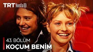 Koçum Benim 43. Bölüm