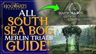 Hogwarts Legacy - All South Sea Bog Merlin Trials Guide - (BEST GUIDE)