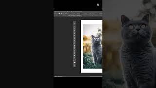 Increase Image Height and Width In Photoshop #photoshop #trending #viral #tutorial