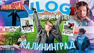 VLOG КАЛИНИНГРАД / Живем в усадьбе, летим бизнес-классом, страдаю от аллергии