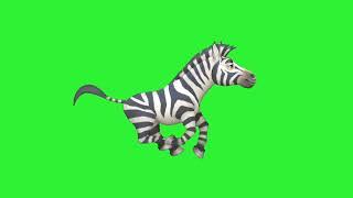 Zebra | Green screen animation | No copyright | Free to use