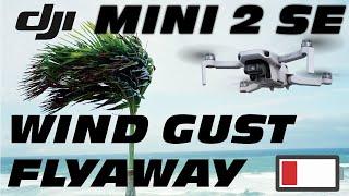 Wind Gust Fly Away - DJI Mini 2 SE Drone