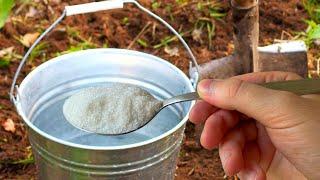 A teaspoon on a bucket of water and the earth is like new! Water the land with this for a bountiful