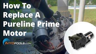 How To Replace A Pureline Prime Motor