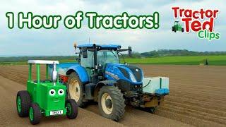 1 Hour of Big Machines For Kids Who LOVE Tractors!  Tractor Ted Official