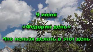 9 июня. Федорин день. Что нельзя делать сегодня.