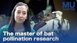 The​ master of bat pollination research | MU The Master