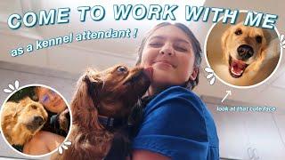COME TO WORK WITH ME! | As a Kennel Attendant!