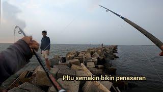 Mengejutkan‼️Lama sepi yang mancing otomatis bikin penasaran || pltu batu tahu