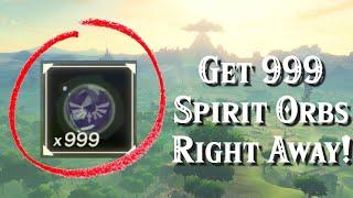 How to Get 999 Spirit Orbs in Minutes in Zelda Breath of the Wild!