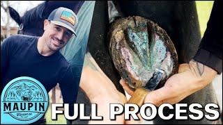 Hoof Restoration | Maupin Farrier Co | Oddly Satisfying | Deep Clean