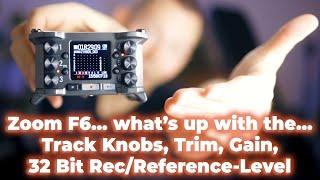 Master the Zoom F6 Track Knobs? How to set Trim, Gain, Rec and Reference Level?