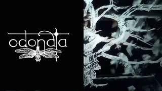 Odonata X-1 teaser lennon 26 mai 2023 movie