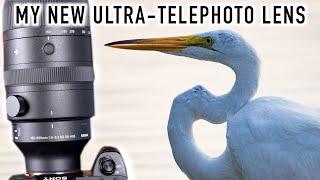 I'm DEFINITELY Buying This! Sigma 150-600mm Hands-On Review for E and L Mounts