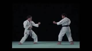 Heian/Pinan godan kata bunkai kumite Shito-ryu karate