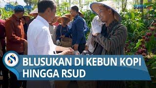 Jokowi Meluncur ke Lampung Barat, Blusukan di Kebun Kopi Hingga RSUD