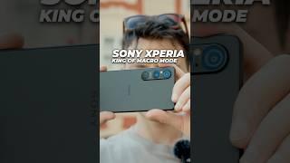  Smartphone Macro Photography Beast - New Sony Xperia 1VI  #photography #smartphone