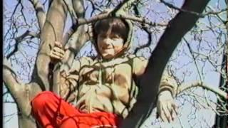 Johnny Climbs a Tree (1984)