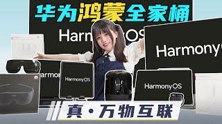 「极果」HarmonyOS！它真的来了！华为鸿蒙系统全家桶体验！