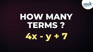 How do we Count the Number of Terms in an Algebraic Expression? | Don't Memorise