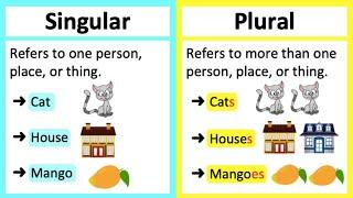 SINGULAR VS PLURAL NOUNS  | What's the difference? Learn with examples