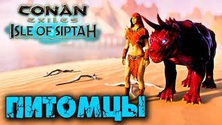 Conan Exiles: Isle оf Siptah (Новое выживание)  Питомцы 