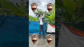 बदर मम आए पट पजम ल दख कतत आय फर बलल आई monkey cat dog funny story VFX magic video