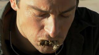 Bear Grylls eats a bug pate - Man vs Wild Disgusting Eats