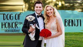 Freddie & Alyssa's Dog, Benji, Was The Only Guest At Their Intimate Elopement! | FairyTail Pet Care