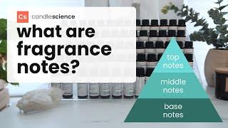 What are Fragrance Notes? | Learn how to describe scents using fragrance notes