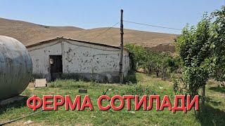 ФЕРМА СОТИЛАДИ 0550141448