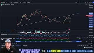 Near Protocol NEWS TODAY! Bull Run Price Prediction & Technical Analysis March 2024