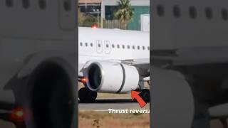 Thrust Reversal System Airbus A320neo Lufthansa Landing  Málaga AGP LEMG Airport