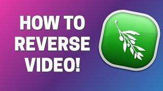 How To Reverse Video in Olive Video Editor