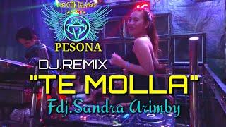 TAYANG PERDANA FDJ SANDRA G-MIX With ORGEN TUNGGAL PESONA - Desa lubuk sakti