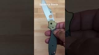 Spyderco Schempp Bowie!