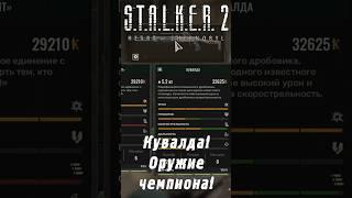 Где найти уникальный SPAS "Кувалда" в | S.T.A.L.K.E.R. 2