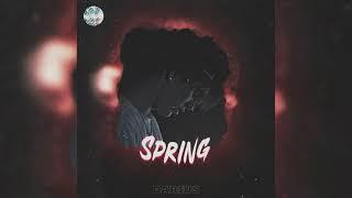 [FREE] PUSSYKILLER X КРИСПИ x Экси Type Beat | 2024 FREE BEATS | "Spring" (prod. by darius x Roxie)