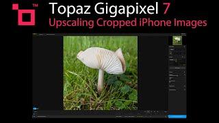 TOPAZ GIGAPIXEL 7: Upscale and Enhance Your Cropped iPhone Images with Precision