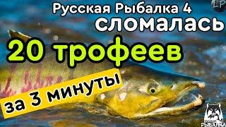 Как поймать 20 трофеев за 3 минуты