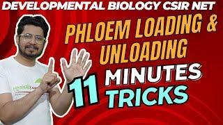 Phloem loading and unloading in plants for csir net | Tricks to remember solute transport in plants